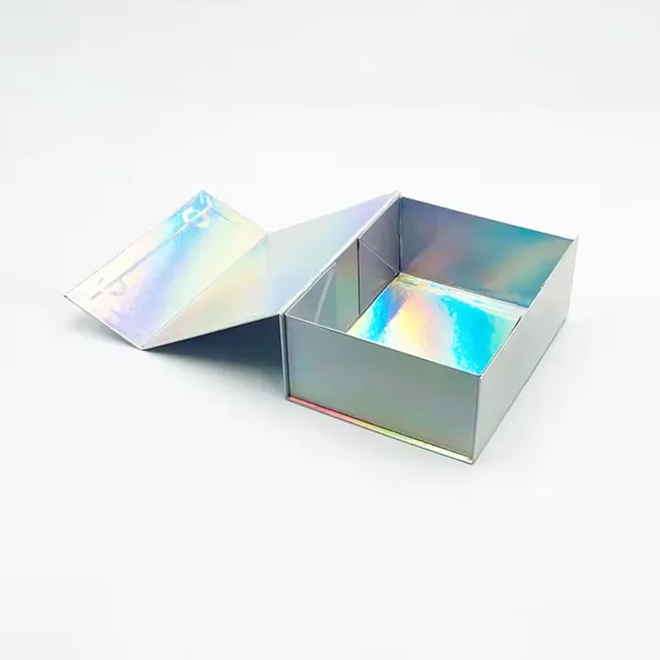 Holographic Magnetic Closure Boxes-4